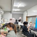 시현펫살롱 이미지