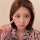 폴럽 Daum카페