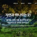 솔향수목원(솔숲광장) 이미지