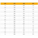 신발나라 네이버블로그