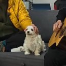 하박국식당 | 어느새 방황하는 동안 26년도 지나갑니다