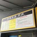 동해시-08 | 천곡 황금박쥐 동굴 강원도 동해 묵해 가볼만한 여행지 추천 동국 찐 후기 입장료 지역화폐 제공