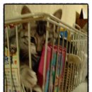 샬롬주유소 이미지