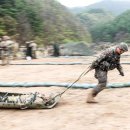 최고 전사 상징 블루 배지’를 가슴에…화기 숙련·응급처치·독도법·급속행군 이미지