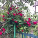 큰어리골 쉼터 이미지