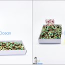 메딤스코리아 이미지