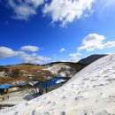 서현목장 이미지