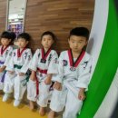 연세키즈태권도 이미지
