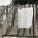 아날로그감귤밭 이미지
