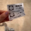 주식회사 더줌웍스 | 오키나와③(만좌모, 찰리스타코, 지바고커피웍스, 마루짱)