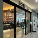 [뷰티] 파주 운정 초롱꽃마을 미용실 &#34;로엘바이 아이디헤어&#34; 테슬컷 볼륨매직 후기