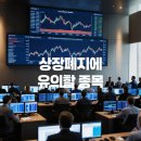 티에스(TS)메디칼 티스토리