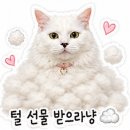 4.19그집 | [서울/강북구] 4.19민주묘지역 혼밥 혼술 맛집🍣 유키가후루 아부리사케동 내돈내산 후기