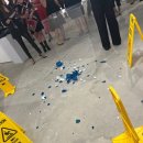 VIP Dog 이미지