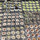 바위솔펜션 이미지