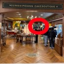 사랑해케이크 | 토요일 아침 성심당 롯데백화점 대전점 오픈런해서 케이크사온 후기