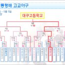 장하다 경고 야구부 이미지