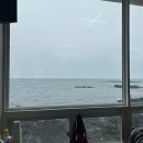 나약국 | 제주 맛집 [해녀촌] 구좌 회국수 맛집 내돈내산 후기