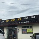 체계산 | 전북순창 적성밥집/체계산멧돼지식당/내돈내산/맛은글쎙,,