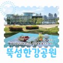 지에스25우송자양점 | 뚝섬한강공원 피크닉 돗자리 주차 정보와 한강플플 즐기기