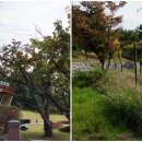 푸른풀밭 작은도서관 이미지