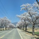 광의사거리 이미지