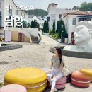 담양 메타프로방스 입장료·주차·식당·빵집 총정리! 애견동반도 가능?