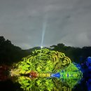 당지 | 창경궁 야간개장 물빛연화 대춘당지 기간 및 좌석과 웨이팅