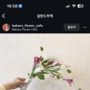 부케바이민 이미지