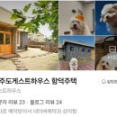 [제주도 함덕 게하] 함덕주택 - 제주 혼자 뚜벅이 여행, 1인실 게스트하우스 추천