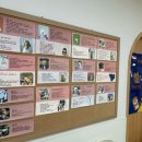 양코치 애견카페 이미지