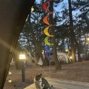 맹방 비치캠핑장 이미지