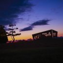 노을빛 정원 이미지