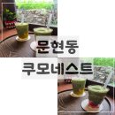 카페네스트 | 문현동 카페 추천! 지게골 감성카페 쿠모네스트 말차푸딩라떼 후기