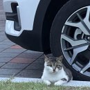 봉수대오토캠핑장 이미지