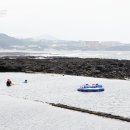 예래4통 이미지