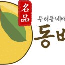 동배고동네배관고수 매일안전신문