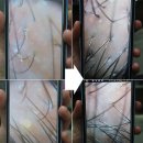 채현헤어살롱