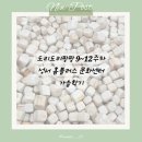 [성서 홈플러스 문화센터] 가을학기 도리도리팡팡 수강후기 5~8주차, 9개월 아기