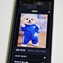 [일원1]  나만의 스마트폰앱만들기 (6주: 2/28~4/3) | 강아지 댄스 챌린지 인스타 AI 영상 만들기