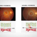 오르소한의원 이미지