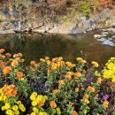 옥천2리 이미지