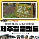 제주 일출랜드 방문 후기 | 미천굴·벚꽃·돌하르방까지 힐링 산책 코스 추천 🌸