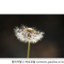 [매일복음(가해) 17-11-04] - "자신을 높이는 이는 낮아지고 자신을 낮추는 이는 높아질 것이다."(루카 14,1.7-11) 이미지