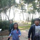 파인우드비치 이미지