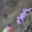 (주)동강 이미지