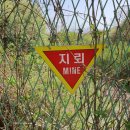 RR-56[파주로]-상-244 | 경순왕릉(敬順王陵) 다녀왔습니다