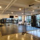 팀엑스 복싱 이미지