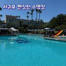 켄싱턴 제주호텔 | 제주 숙박 없이 갈 수 있는 호텔 수영장 I 서귀포 켄싱턴 수영장 이용 후기