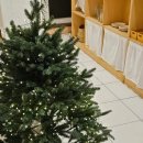 한울고등학교 | 아산 파스타 맛집 미유파스타 스테이크 맛집